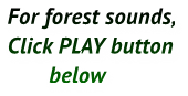 For forest sounds,
Click PLAY button
       below For forest sounds,
Click PLAY button
       below